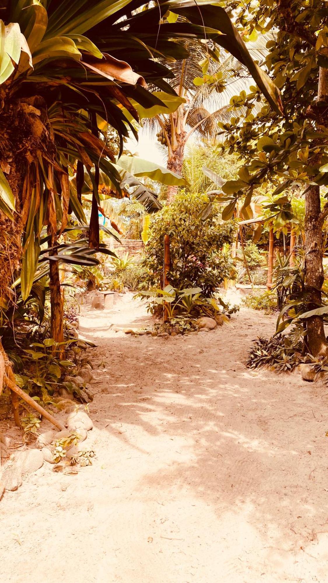 Hotel La Caleta à Mompiche Extérieur photo